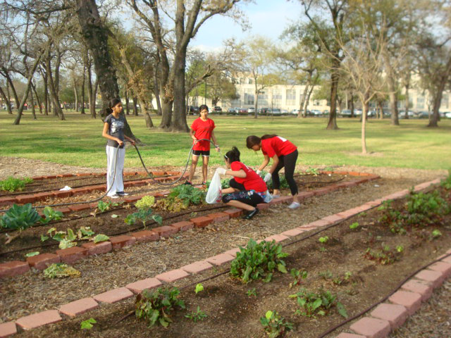 Community Garden